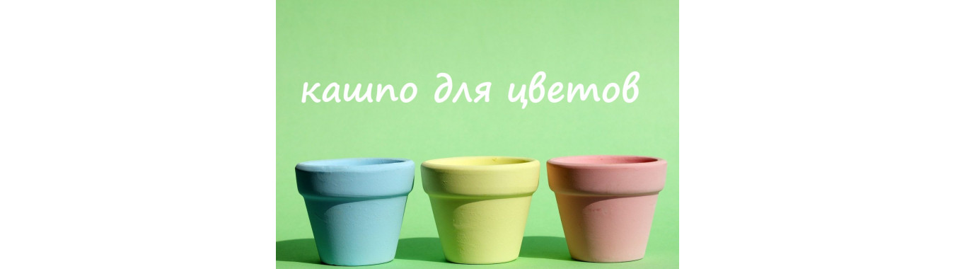 Кашпо для растений